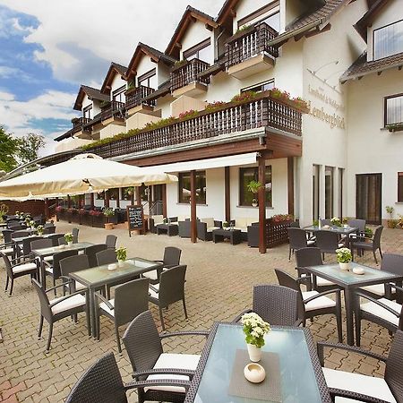 Landhotel Lembergblick Feilbingert Екстериор снимка