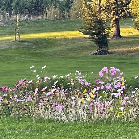 Landhotel Lembergblick Feilbingert Екстериор снимка