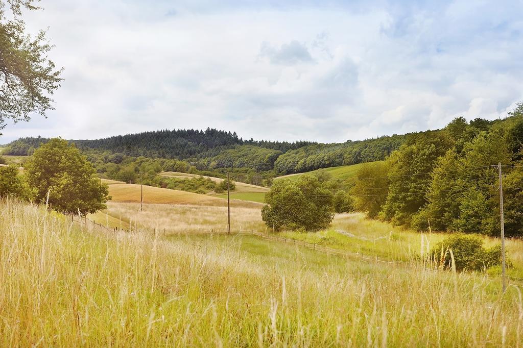 Landhotel Lembergblick Feilbingert Екстериор снимка