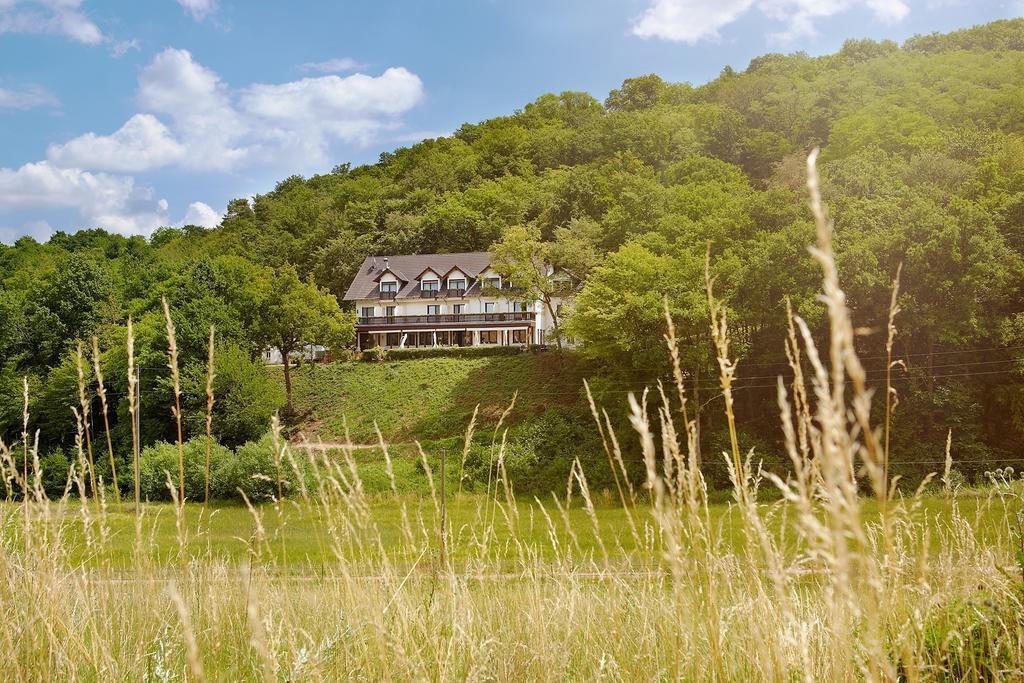 Landhotel Lembergblick Feilbingert Екстериор снимка