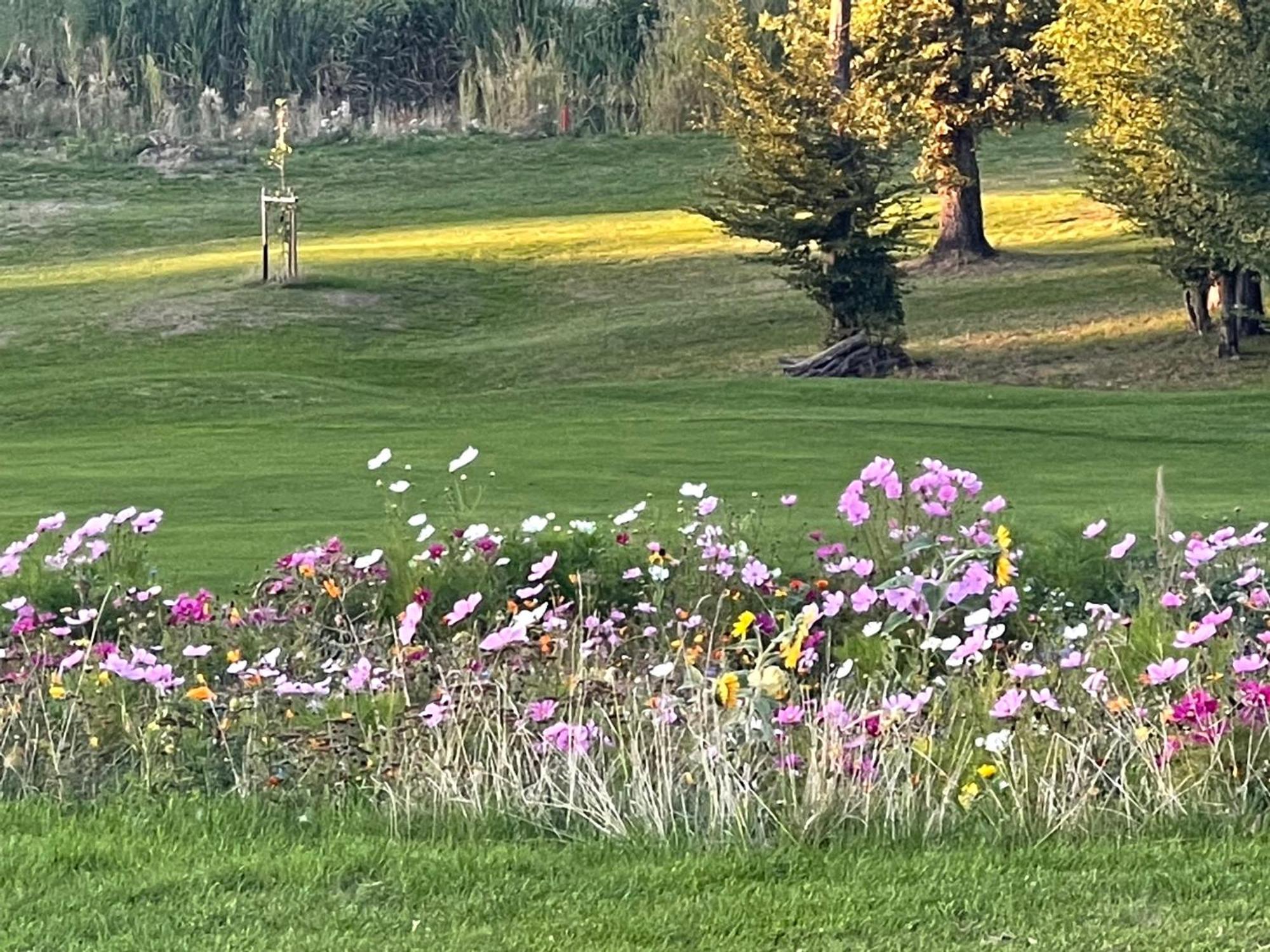 Landhotel Lembergblick Feilbingert Екстериор снимка